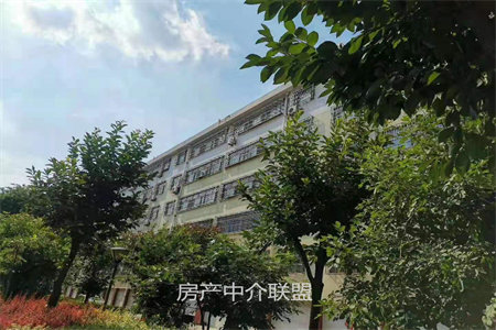密州金东世纪城3室2厅1卫58万107m2出售